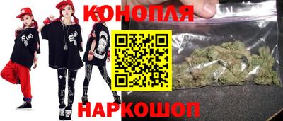 прущие грибы Пенза