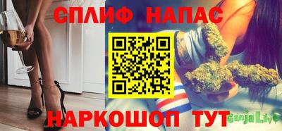 прущие грибы Пенза