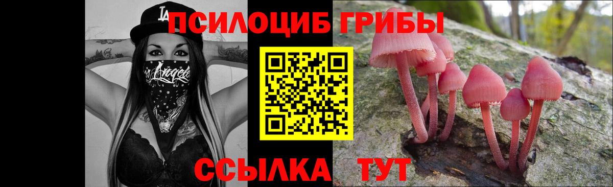Бутурлиновка  Галлюциногенные грибы Cubensis  продажа наркотиков  Вход с VPN 